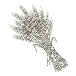 Rye